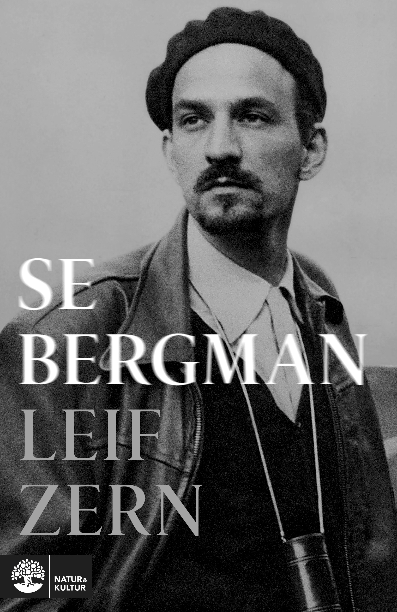 bergman brothers book 2